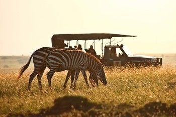 Elephant Pepper Camp Maasai Mara Buitenkant foto