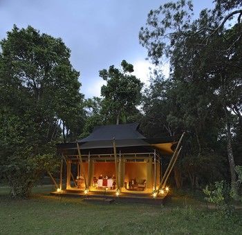 Elephant Pepper Camp Maasai Mara Buitenkant foto