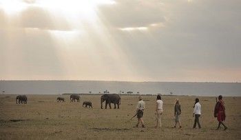 Elephant Pepper Camp Maasai Mara Buitenkant foto